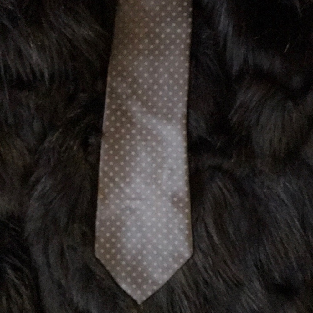 Jones New York Silk Silver/Gray Polka dot tie.